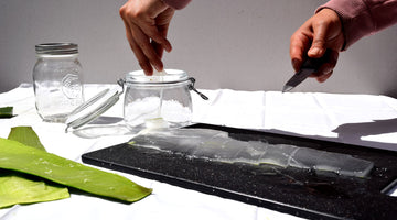 How to extract the aloe vera gel